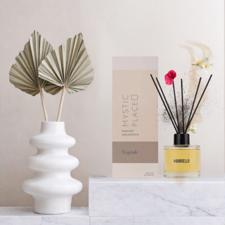 Diffuseur Maison Terre
