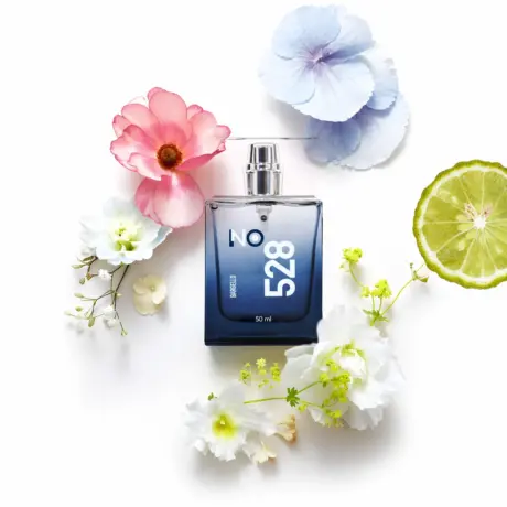 BRG NO. 528 Homme EDP